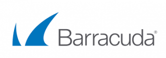 Barracuda SSL VPN i zdalny dostęp - foto 1